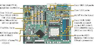 Tyan Tomcat K8E (S2865AG2NRF-RS), Socket 939 for AMD Opteron Motherboard, nVIDIA nForce4, 4 DDR-DIMM, 1 PCI Express 16x, 2 PCI Express 1x, 4 PCI, AUDIO, VIDEO, LAN, USB, FIREWIRE, IDE, SATA, RAID Support.