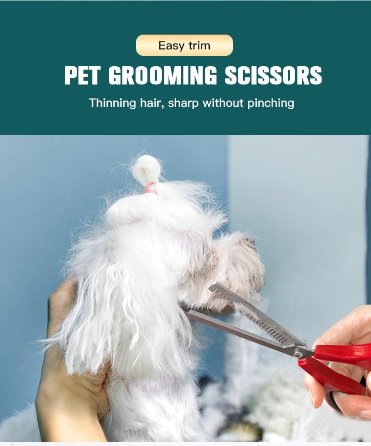8 in 1 pet grooming kit - grooming tools