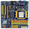 Biostar  TForce 6100 
