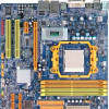 Biostar  TA690G AM2 