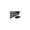 Targus AMW50US 2.4GHZ WIRELESS OPTICAL LAPTOP MOUSE