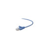 Belkin A3L791-08-BLU-S 8FT CAT5E SNAGLESS PATCH CABLE, UTP, BLUE PVC JACKET, 24AWG, T568B, 50 MICRON, G