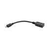 Eaton U052-06N ADAPTER CABLE - USB-B LEFT CONNECTOR - MALE LEFT GENDER - USB-A RIGHT CONNECTOR