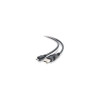 Cables To Go 2M Usb 2.0 A Male To Micro-Usb B Male Cable