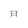 ERGOTRON FURNITURE 24-271-928 WORKFIT-D SIT-STAND DESK BIRCH SURFACE