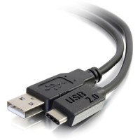 C2G 28873 12FT USB 2.0 TYPE C MALE TO A MALE