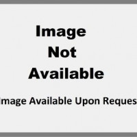 Addon A4501463-AM ADDON DELL A4501463 COMPATIBLE FACTORY ORIGINAL 16GB (2X8GB) DDR2-667MHZ FULLY B