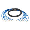 Eaton N261-010-6MM-BL EATON TRIPP LITE SERIES CAT6A 10G PRE-TERMINATED COPPER TRUNK ASSEMBLY (6X RJ45