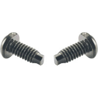 Panduit S1224-C 100PK EN SCREW 12-24