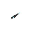 Startech MPO12PL10M TERMINATE 12 FIBER CONNECTIONS USING A SINGLE 40 GIGABIT NETWORK CABLE - 10M MTP