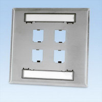 Panduit CFPL4S-2GY FACEPLATE 4PT DOUBLE CLASSIC S-STEEL EA