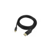 Siig CB-DP1K12-S1 EASILY CONNECT MINI DISPLAYPORT EQUIPPED COMPUTERS TO DISPLAYPORT ENABLED DISPLA