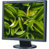 NEC Display AccuSync 19" Class SXGA LCD Monitor - 5:4