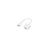 4XEM 4X30PINVGA APPLE 30 PIN TO VGA FEMALE ADAPTER FOR IPHONE 3 4 IPAD WHITE