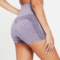 High Waist Compression Shorts Keeps your tummy in. Purple. 4-way stretch