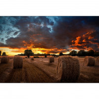 Samsung VM55B-U VIDEO WALL 55IN ULTRA-NARROW BEZEL COMMERCIAL LED LCD DISP TAA