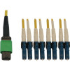Eaton N390X-02M-8L-AP EATON TRIPP LITE SERIES 400G SINGLEMODE 9/125 OS2 SWITCHABLE FIBER OPTIC CABLE (