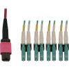 Eaton N845X-01M-8L-MG EATON TRIPP LITE SERIES 40/100G MULTIMODE 50/125 OM4 FIBER OPTIC CABLE (12F MTP/
