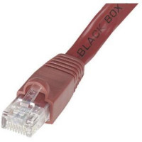 Black Box EVNSL643-0001 CAT6 550-MHZ SNAGLESS STRANDED ETHERNET PATCH CABLE - UNSHIELDED (UTP), CM PVC (