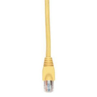 Black Box EVNSL644-0015 CAT6 550-MHZ SNAGLESS STRANDED ETHERNET PATCH CABLE - UNSHIELDED (UTP), CM PVC (