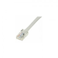Black Box EVNSL650-0100 CAT6 550-MHZ SNAGLESS STRANDED ETHERNET PATCH CABLE - UNSHIELDED (UTP), CM PVC (