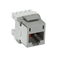 Black Box FOPT50S1-LC-12YL-3 ONE END GETS SPLICED TO THE TRUNK CABLE. THE OTHER END HAS PRETERMINATED CONNECT
