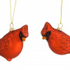 Glass Cardinal Bird Ornament (Set of 12)
