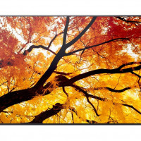 Sharp PN-M982 98IN LED LCD UHD 24/7 550NITS HIGH HAZE HDMI X2/OUT USB-C X1