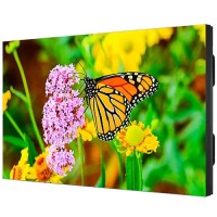 Sharp PN-UN553S 55IN LED LCD SPVA 25 HAZE 700 CD/M2 ULTRA NARROW BEZEL (0.88MM)