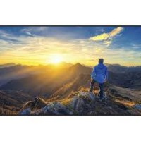 Sharp PN-E659 65IN LCD DISPLAY UHD 16/7 350 NITS HIGH HAZE HDMI X 2 USB-C