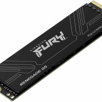FURY Renegade G5 8 TB Solid State Drive M.2 2280 Internal PCI Express NVMe (PCI Express NVMe 5.0 x4)