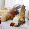 Hen and Rooster Shelf Sitter with Metal Accents (Set of 2)