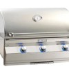 FM A540i Aurora 30" Built-In Grill with Analog Thermometer, LP/NG