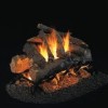 RHP American Oak SEE THRU Gas Logs