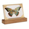Framed Butterfly Tabletop Decor 9"L