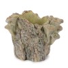 Faux Tree Stump Cement Planter Container 7.25"H