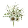 Mixed White Sunflower Bush (Set of 2)