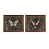 Framed Dark Academia Butterfly Print (Set of 2)