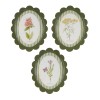 Framed Encyclopedia Flower Print (Set of 3)