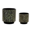 Botanical Fern Print Dolomite Planter (Set of 2)