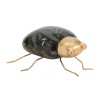 Ceramic Insect with Fern Print (Set of 2)
