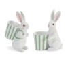 Rabbit Figurine with Planter (Set of 2)