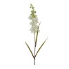 Astilbe Floral Stem (Set of 4)