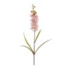 Astilbe Floral Stem (Set of 4)