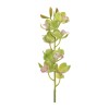 Cymbidium Orchid Flower Stem (Set of 2)