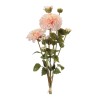 Zinnia Flower Bundle (Set of 2)