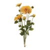 Zinnia Flower Bundle (Set of 2)