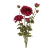 Zinnia Flower Bundle (Set of 2)
