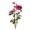 Zinnia Flower Bundle (Set of 2)