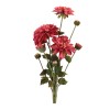 Dahlia Flower Bundle (Set of 2)